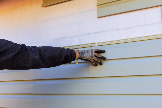 Best Vinyl Siding Installation  in Lealman, FL